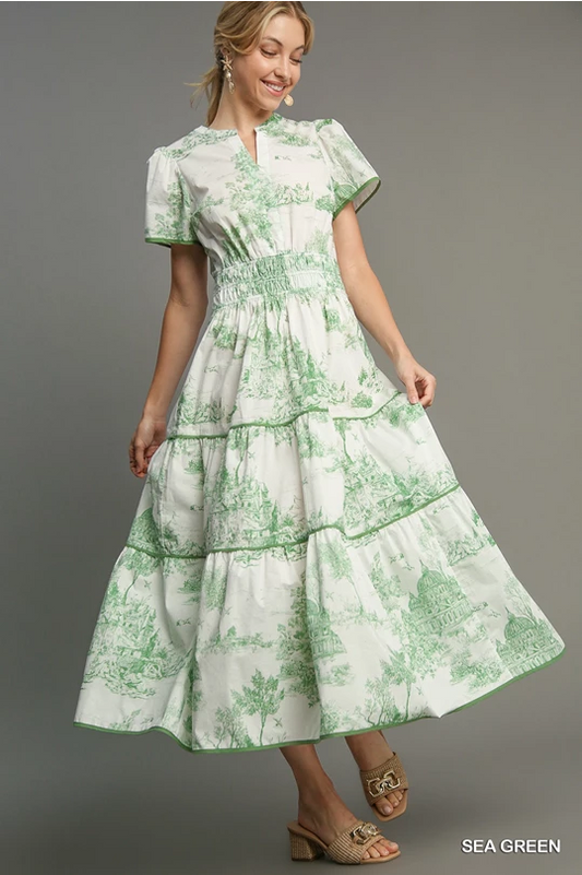 Green Toile Midi Dress