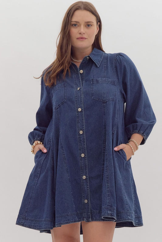 Plus Size Denim Dress